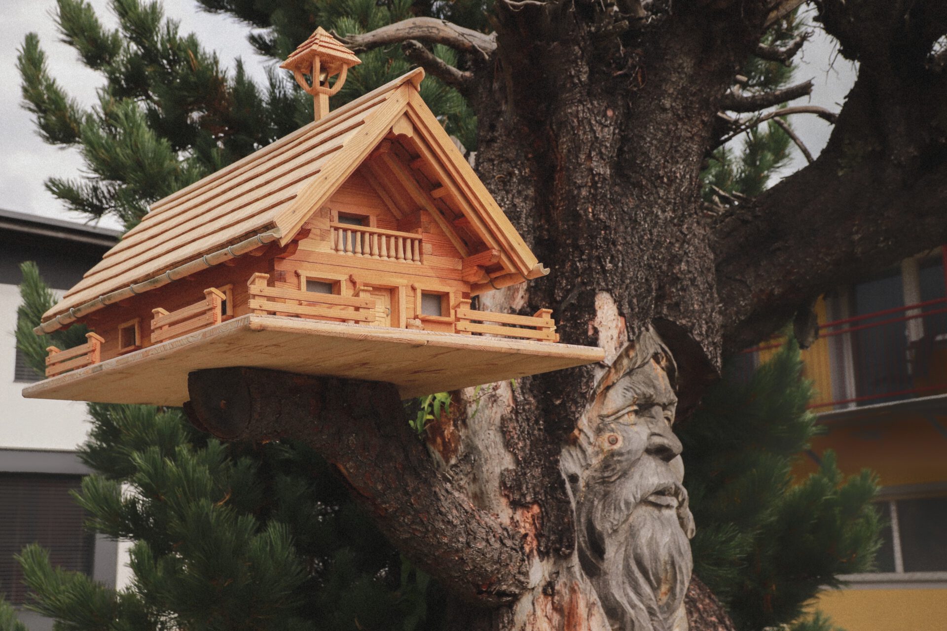 zirbe-zirbenzweig-haus-zirben-diamant-obdach-steiermark